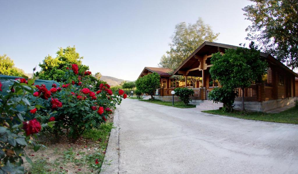 Sandy's Studios Apartments&Log-Villas Cos Exterior foto